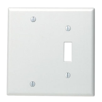 LEVITON 84006-40 PLAQUE 2G INTERR VIERGE SS