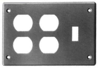IPEX 077746 PLAQUE FS 3G INTERR2DUPLEX